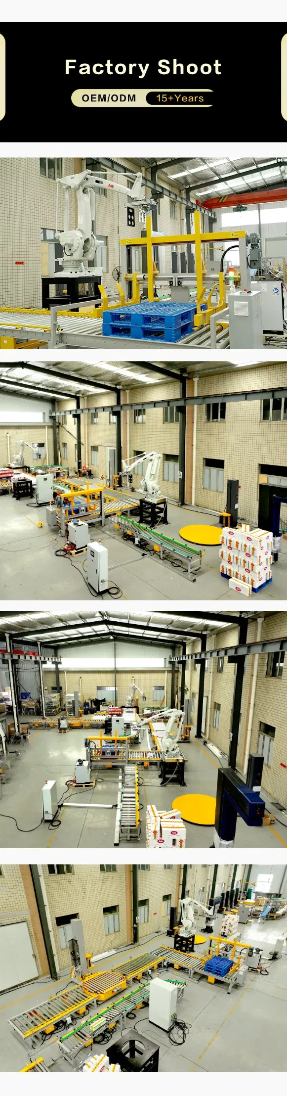 Robotic Palletizing System 7