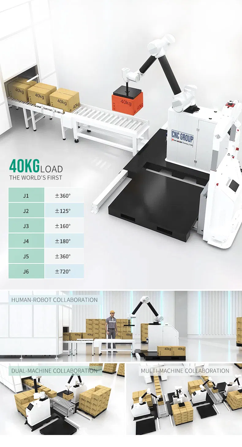 6 Axis Palletizing Robot 6