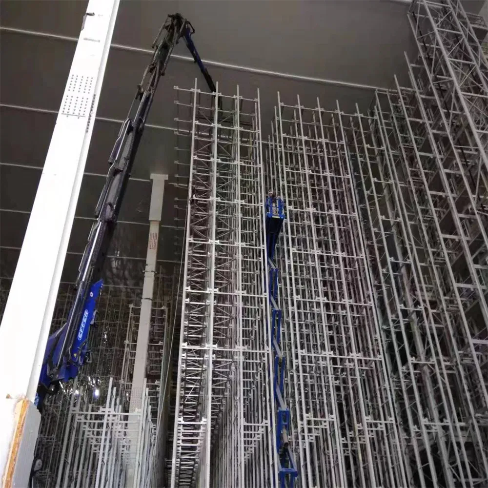 Mother Child Shuttle as/RS for Multi-Deep Pallet Warehouse Storage Racking System