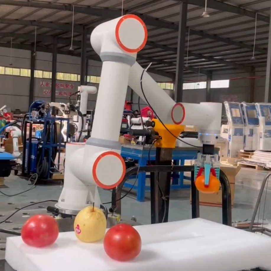 Hot Sale Cobot 6 Axis Collaborative Robot Arm for Welding Palletizing