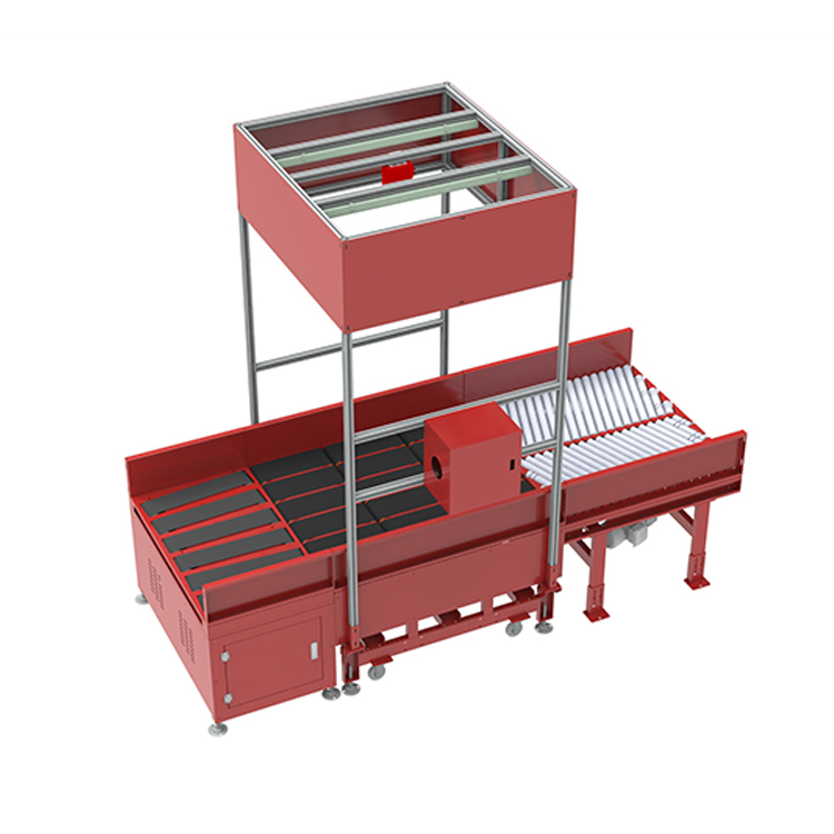 Automated Packages Scanning Singulating Sorting Machine System