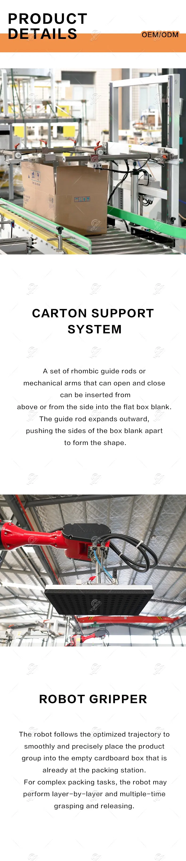 Industrial Robot Case Packing System 4