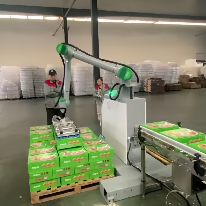 Reliable/Low Maintenance/Cost Effective/Low Payload Automatic Industrial Collaborative Palletizing Robot with Flexible Mounting/Collision Detection/Protective.