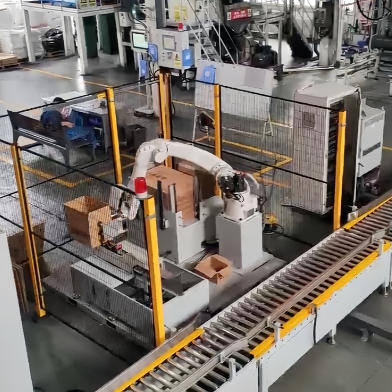 Automated Industrial Box Filling Case Packing Robot for E-Commerce Fulfillment