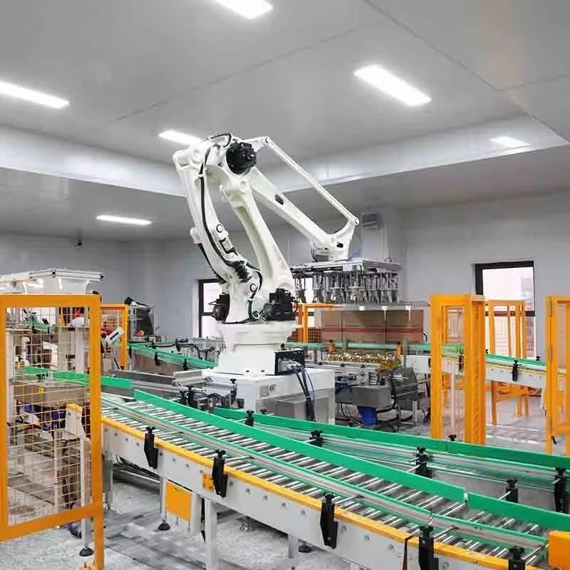 Automated Warehouse Pallet Robots 6 Axis Industrial Cobot 10kg 20kg Robotic Palletizer Collaborative Robotic Arm