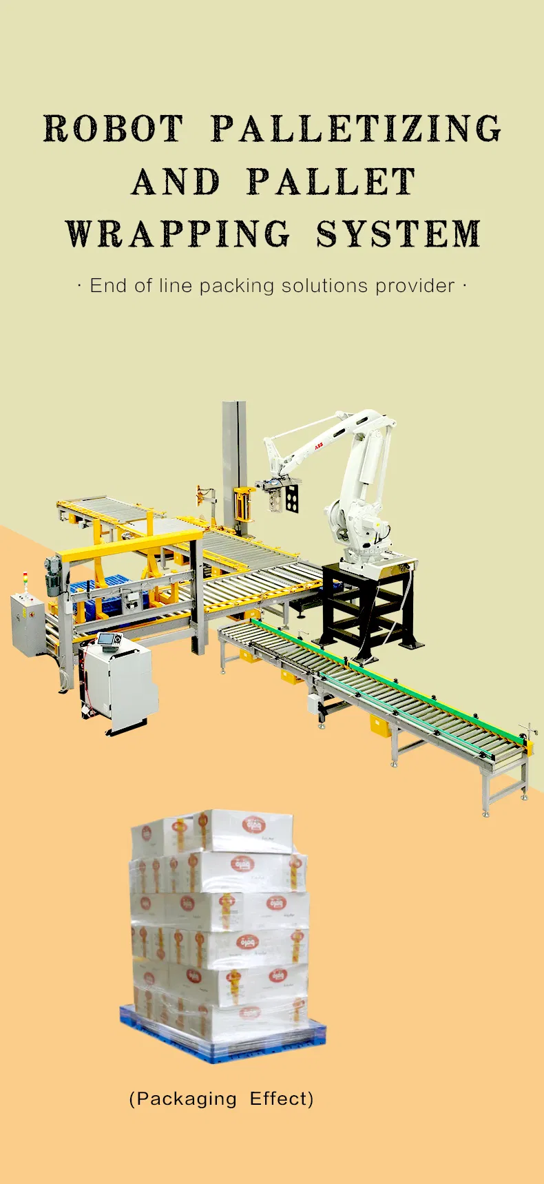 Robotic Palletizing System 1