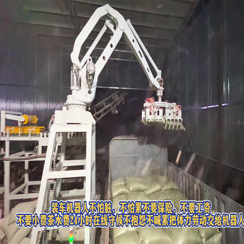 Professional Automated Warehousing Center Outbound Robotic Arm Loading Robot