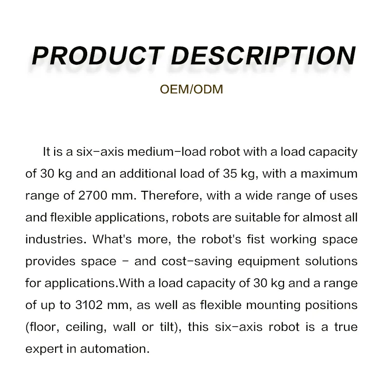 Bag Palletizing System