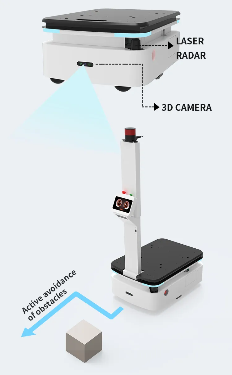 Intelligent Carrying Robot