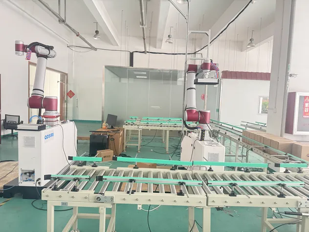 Palletizing Robot Arm