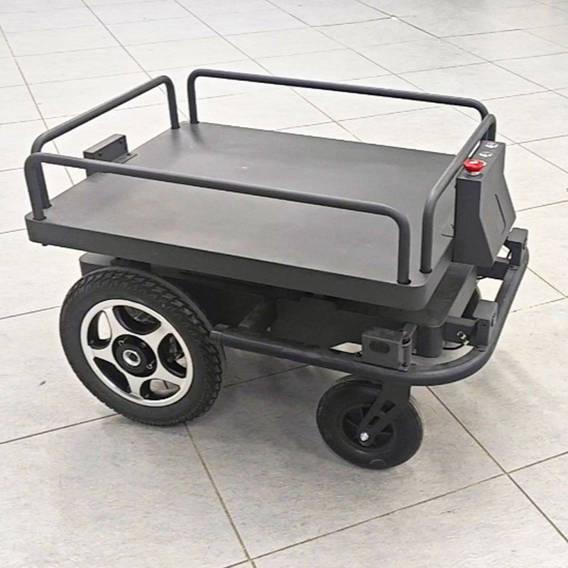 Payload AMR Self-Developed Autonomous Handling Sorting Robot Warehouse Delivery Robot for Workshop