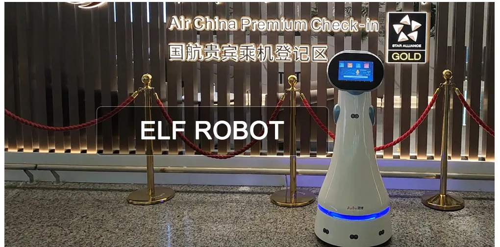 Elf Robot Overview