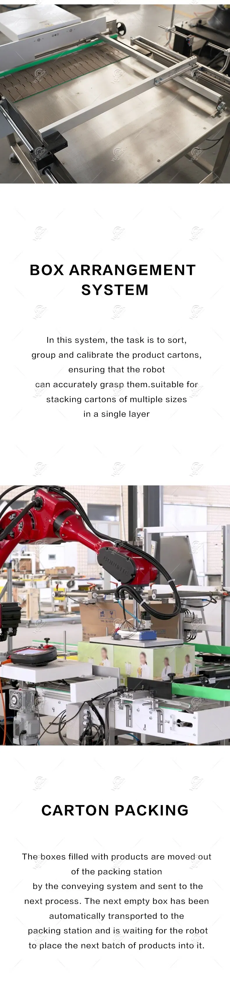 Industrial Robot Case Packing System 5
