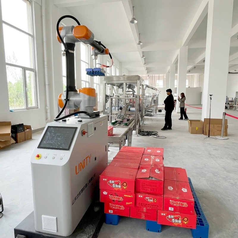 Automatic Collaborative Robot Arm Robotic Palletizer for Carton Handling in Warehouses