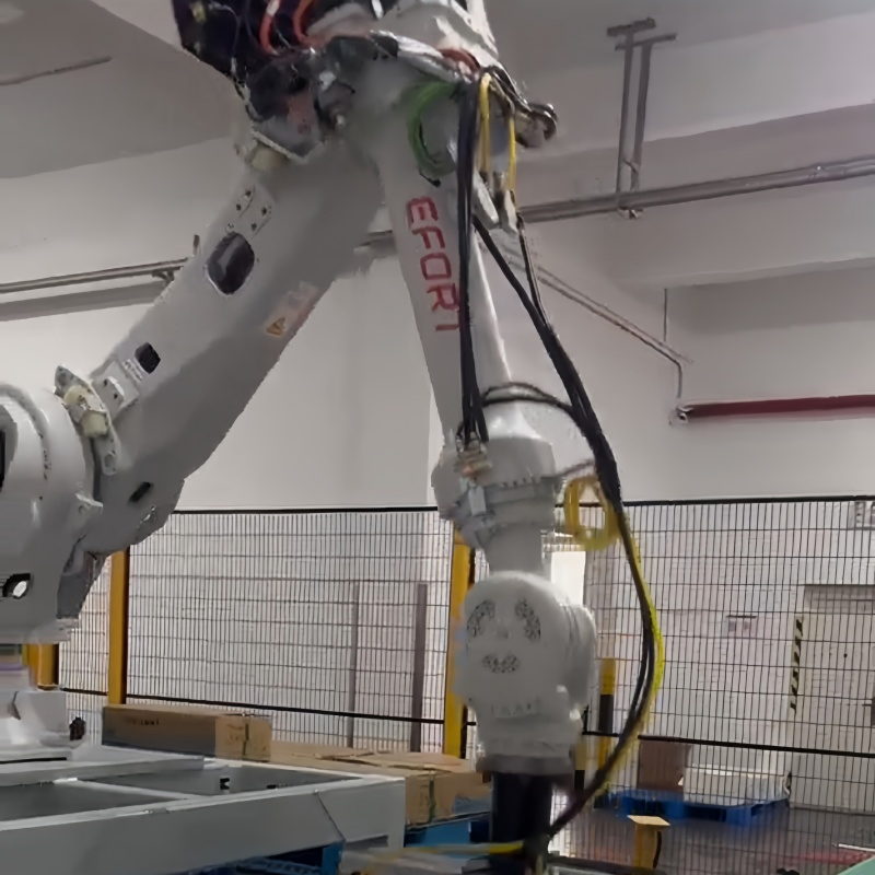 Automated Industrial Box Filling Case Packing Robot for E-Commerce Fulfillment