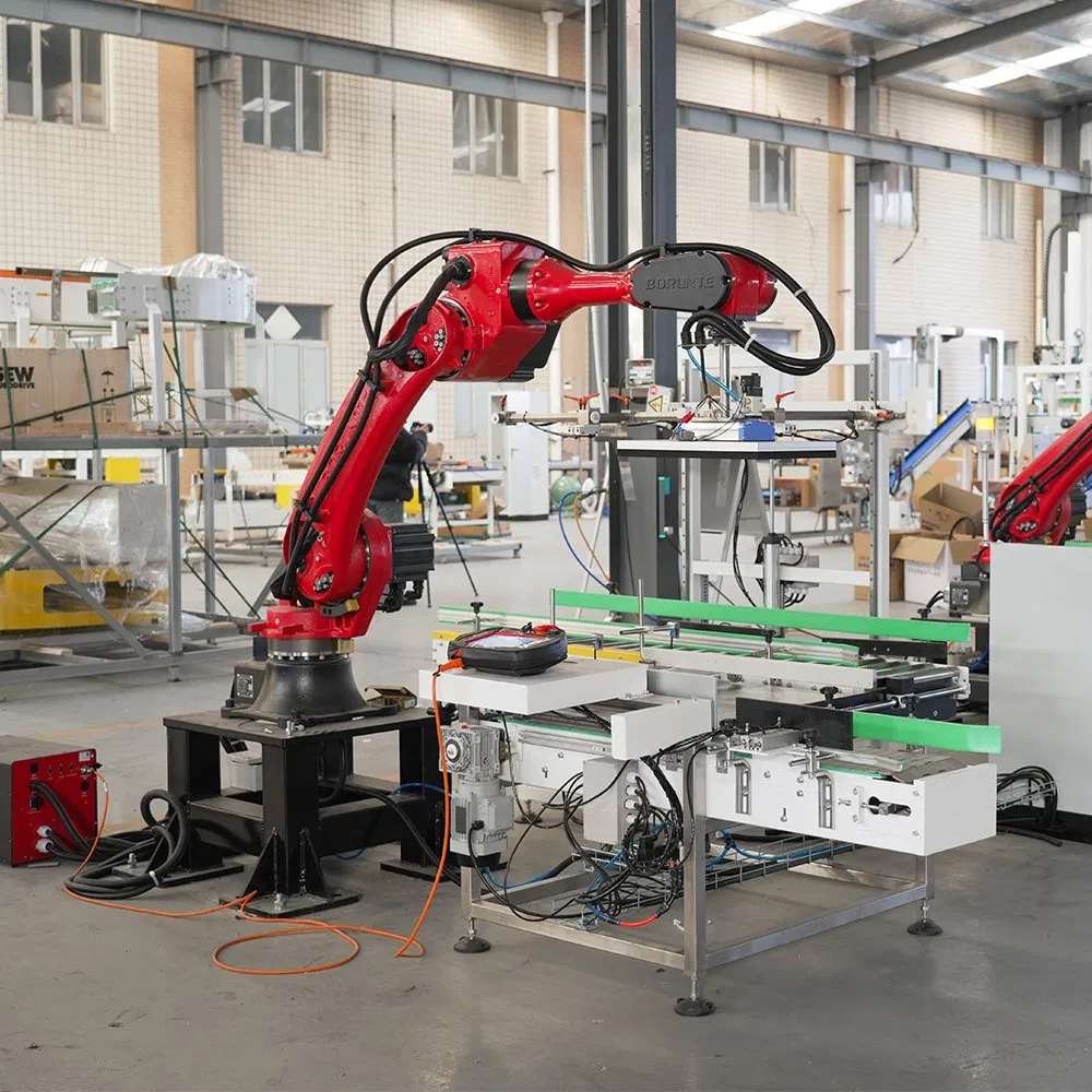 Industrial Robotic Case Packing System with Pick and Place Robot Arm Technology