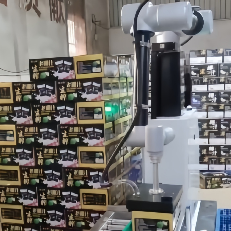 Reliable/Low Maintenance/Cost Effective/Low Payload Automatic Industrial Collaborative Palletizing Robot with Flexible Mounting/Collision Detection/Protective.