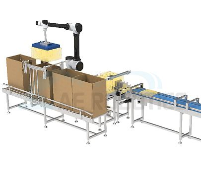 New Automatic Collaborative Palletizing Robot