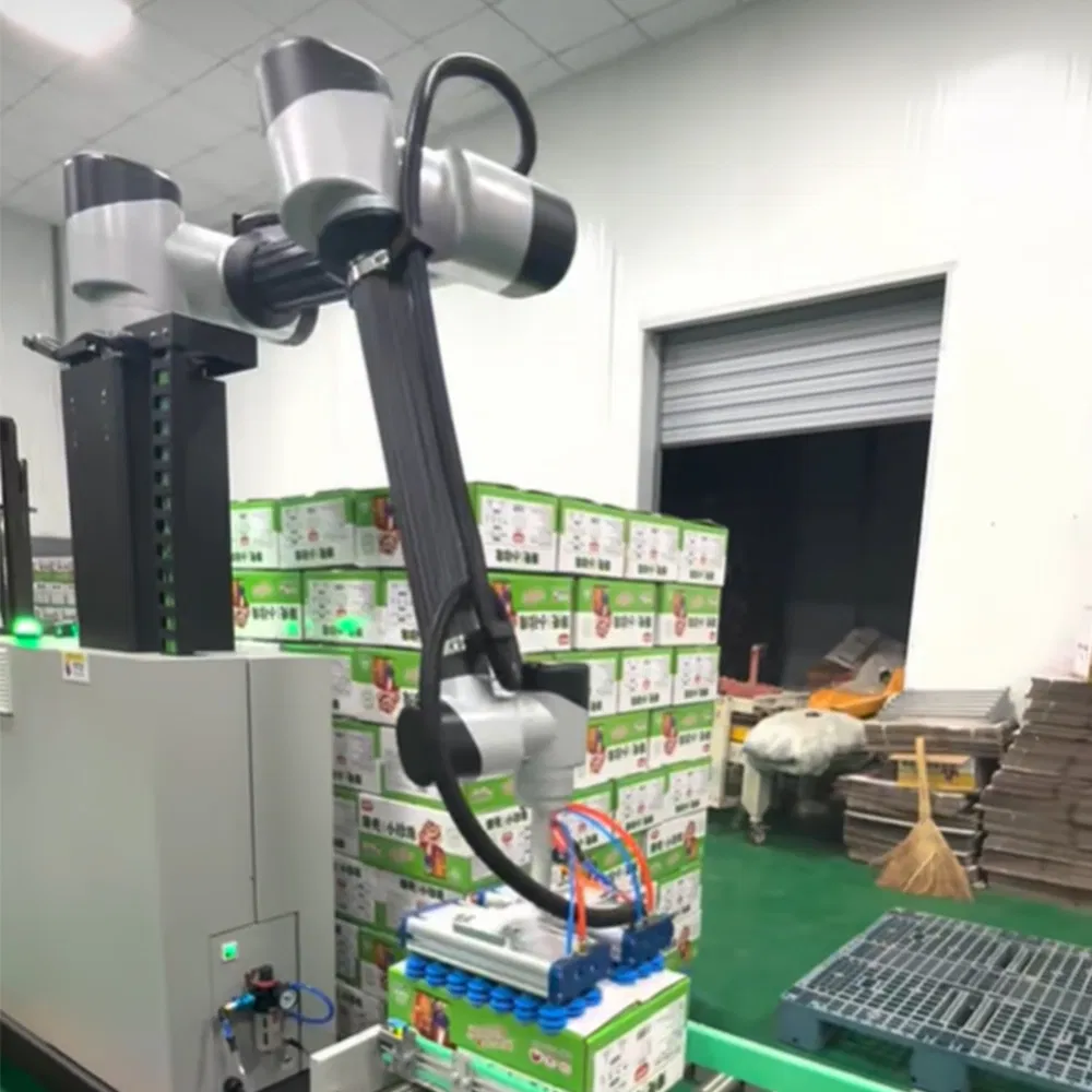 Gp 30 Compact Collaborative Robot with Easy Programming Dual Type Palletizing High Efficiency for E Commerce Warehouse