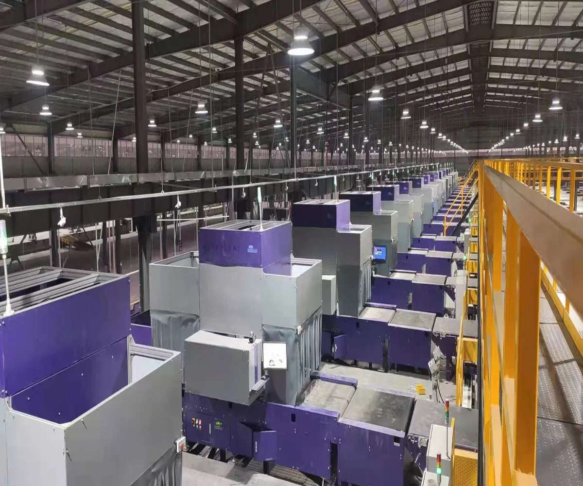 Customized Logistics Parcel Data Scanning and Software System Recording Equipment Dws Modular Sorting and Conveying System