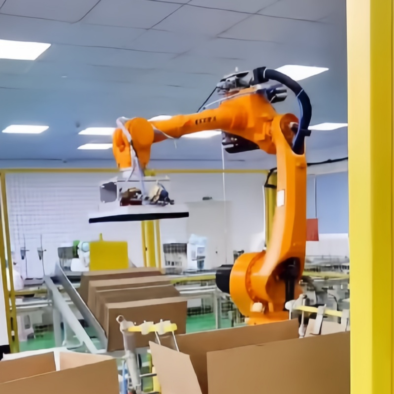 Automated Industrial Box Filling Case Packing Robot for E-Commerce Fulfillment