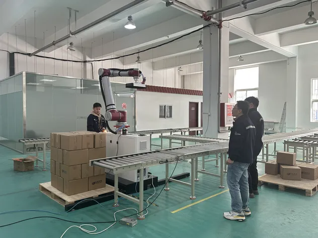 Palletizing Robot Arm