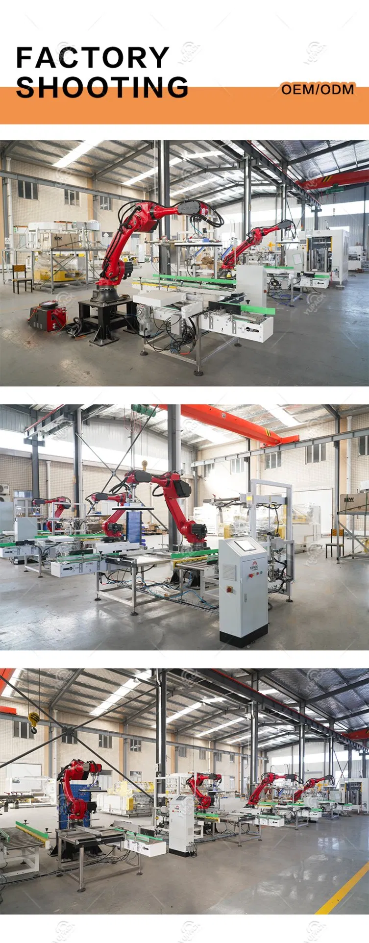 Industrial Robot Case Packing System 3