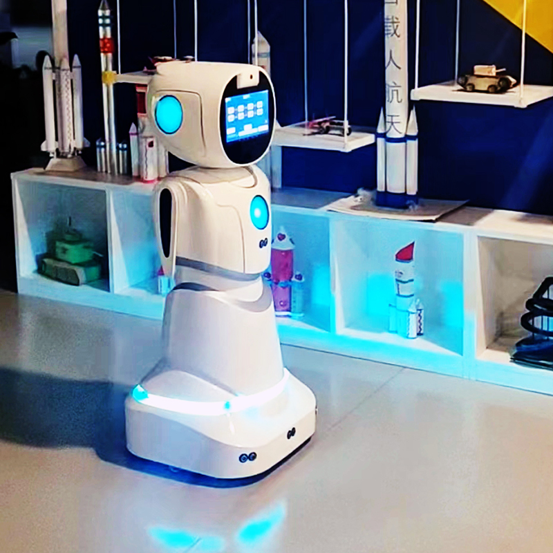 Ai-Driven Conversation Emotional Intelligence Multilingual Support Humanoid Robot