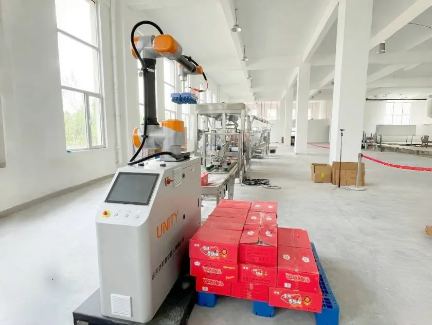 Cobot Palletizer
