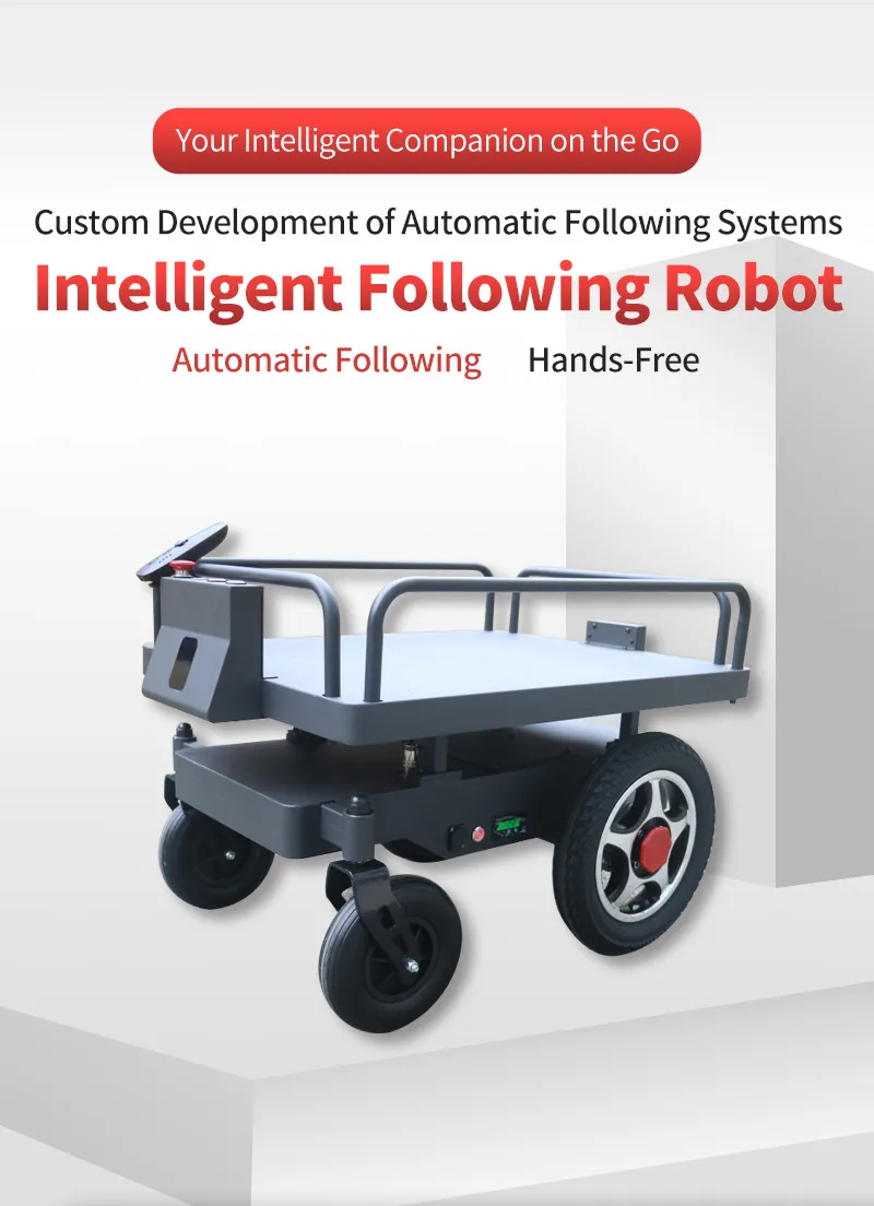 Autonomous Handling Sorting Robot