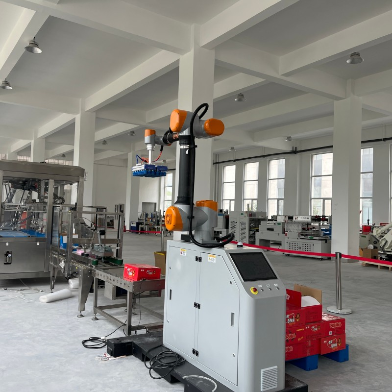 Automatic Collaborative Robot Arm Robotic Palletizer for Carton Handling in Warehouses
