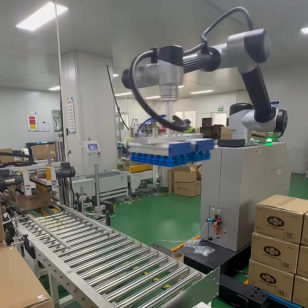 Gp 30 Compact Collaborative Robot with Easy Programming Dual Type Palletizing High Efficiency for E Commerce Warehouse