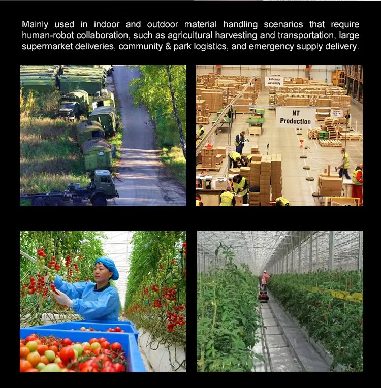 Glgw 200kg Customized Industrial 4 Wheel Warehouse Transport Picking Trolley Cart Automatic Following Trolley Robot