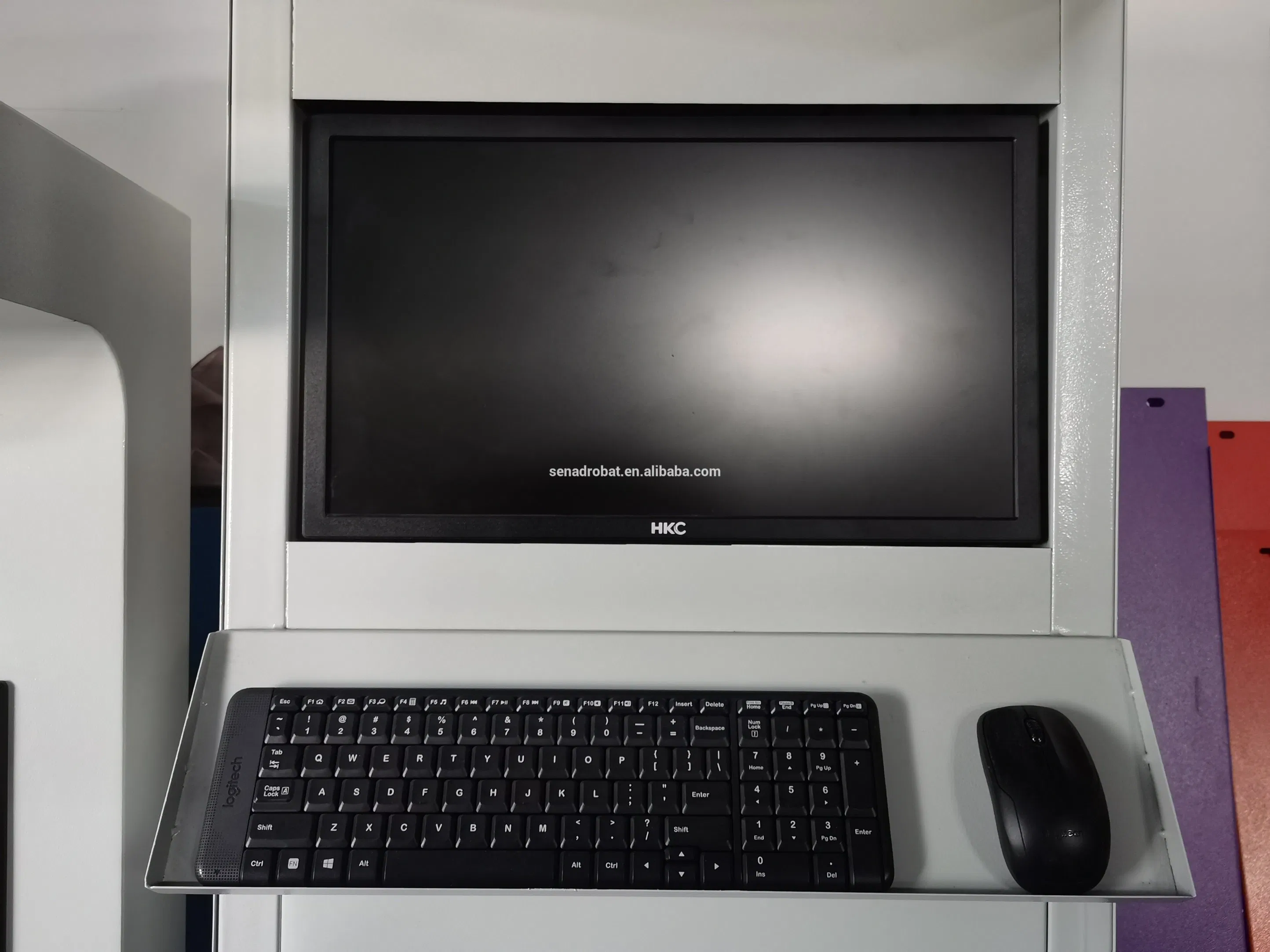 Professional Design Static Dws Logistics Express Multi-Function 4 Sorting Port Dws System