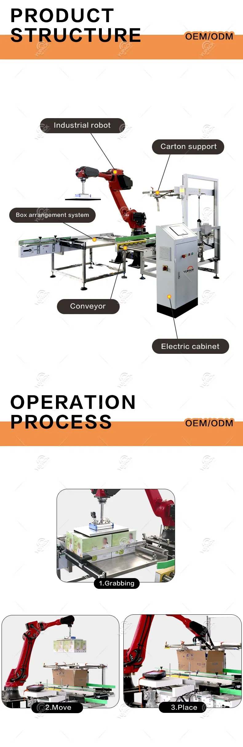 Industrial Robot Case Packing System 2