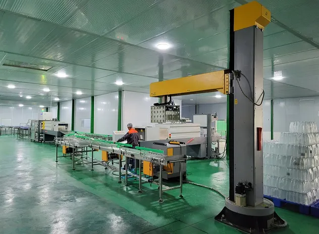 Palletizing System Detail 1