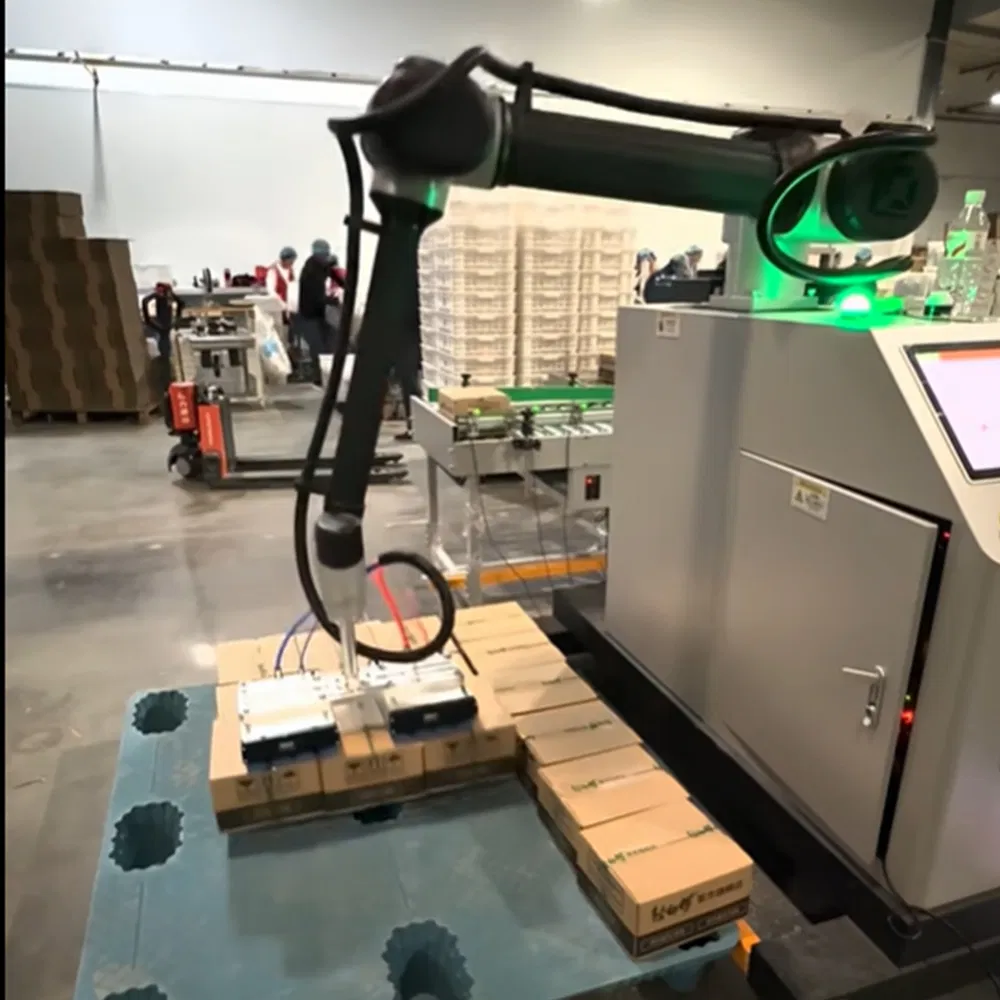 Gp 30 Compact Collaborative Robot with Easy Programming Dual Type Palletizing High Efficiency for E Commerce Warehouse