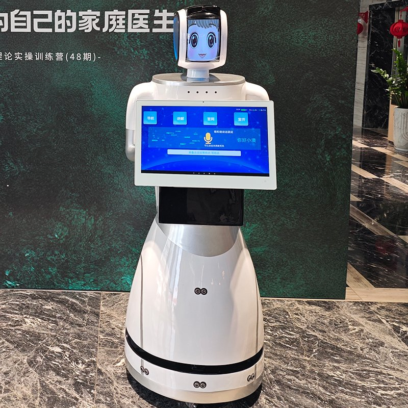 Multi-Language Support Voice Control Smart Navigation Yinyin Robot