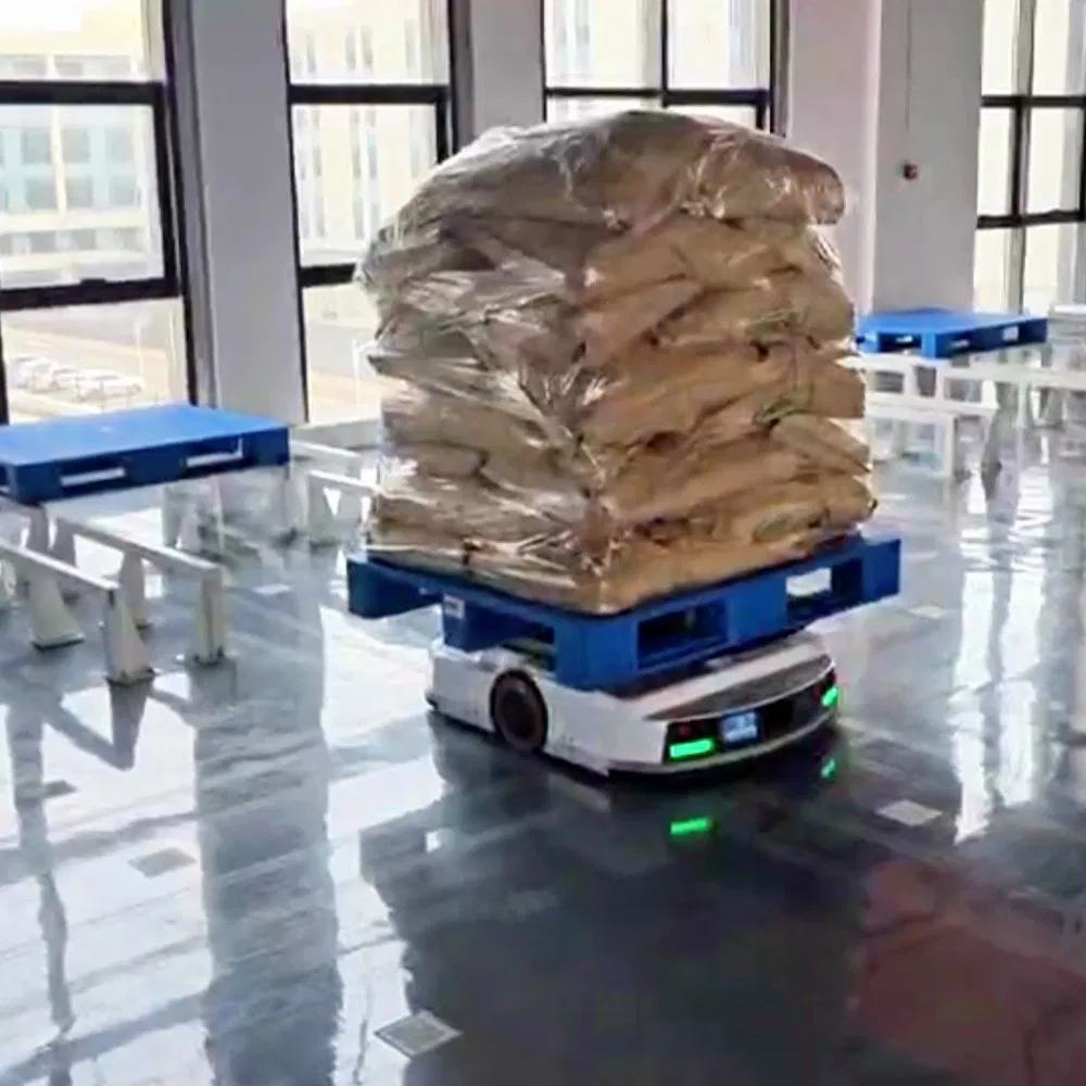 Warehouse Robot Solution for Flexible Goods Transfer and Sorting