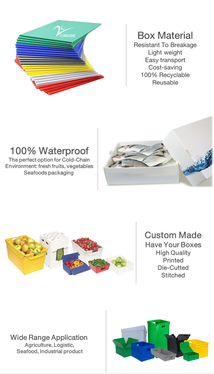 Product Presentation