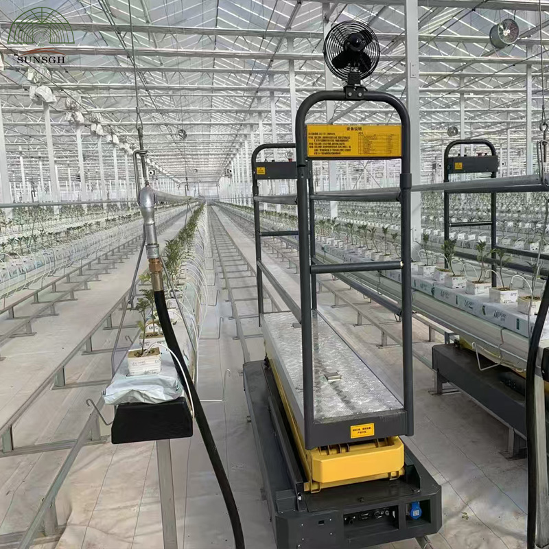 Greenhouse Picking Cart Self-Propelled Electric Lift for Greenhouse Tomato Fruits Picking