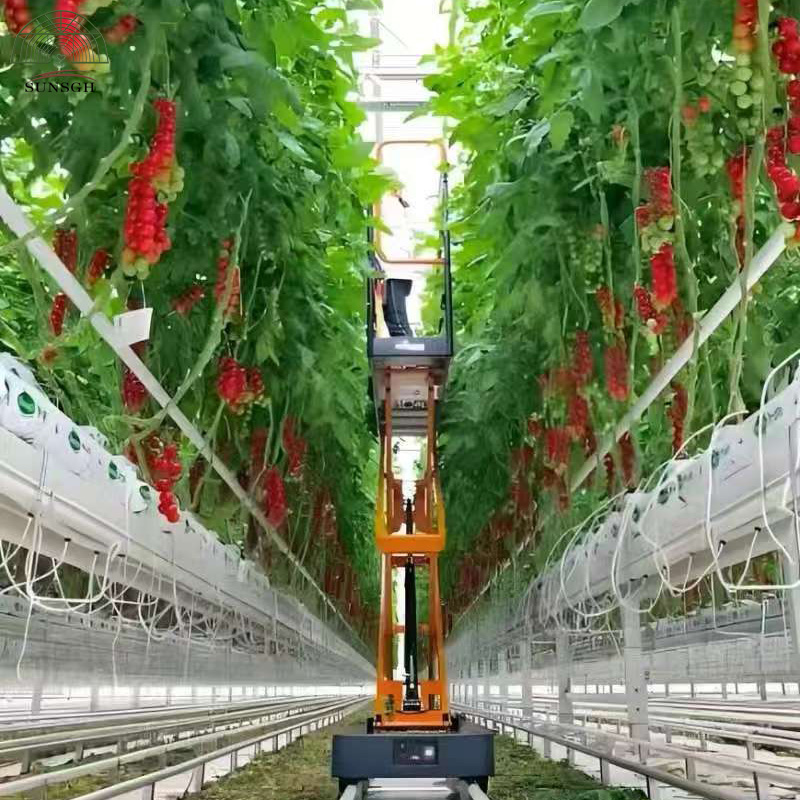 Greenhouse Picking Cart Self-Propelled Electric Lift for Greenhouse Tomato Fruits Picking
