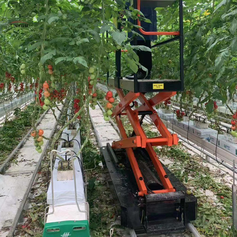Greenhouse Picking Cart Self-Propelled Electric Lift for Greenhouse Tomato Fruits Picking