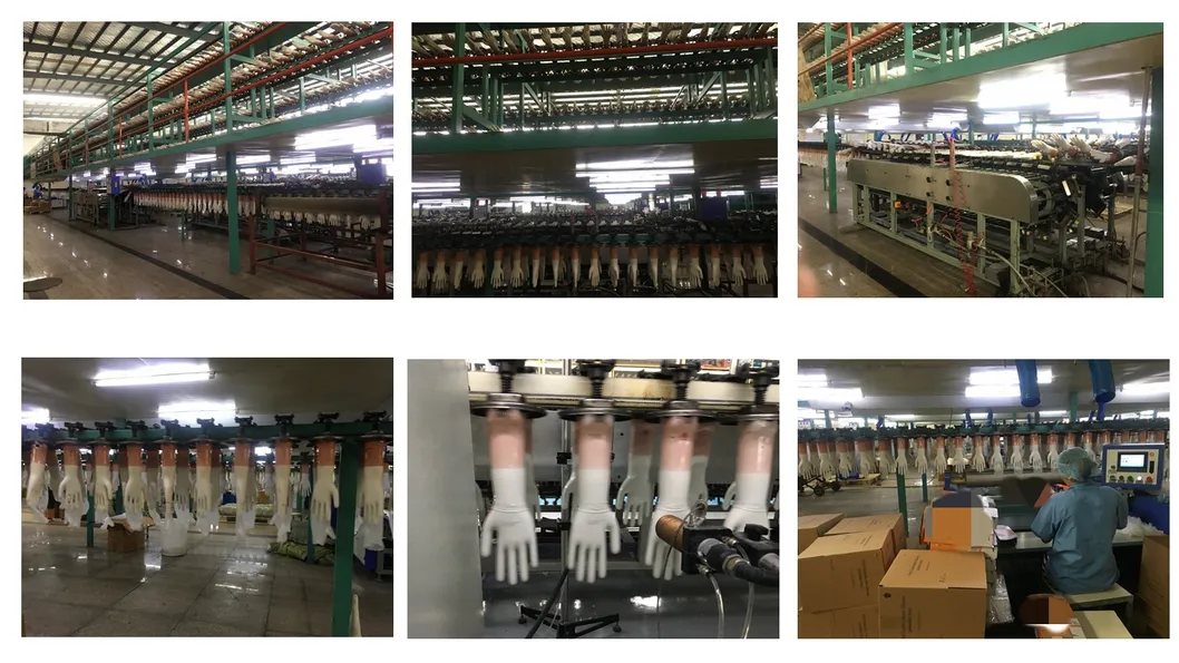 Production Line