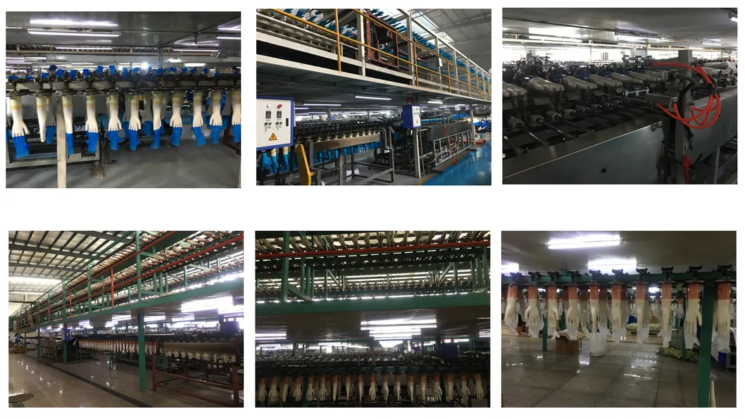 Production Line