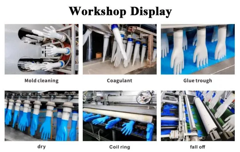 Workshop