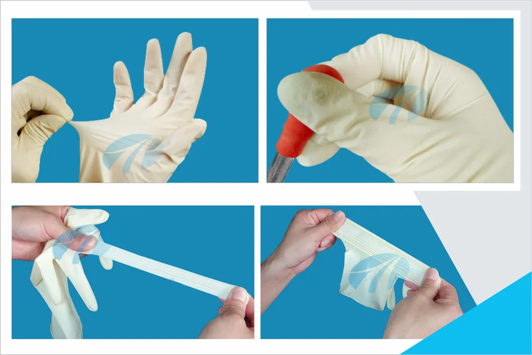 Latex Gloves 5