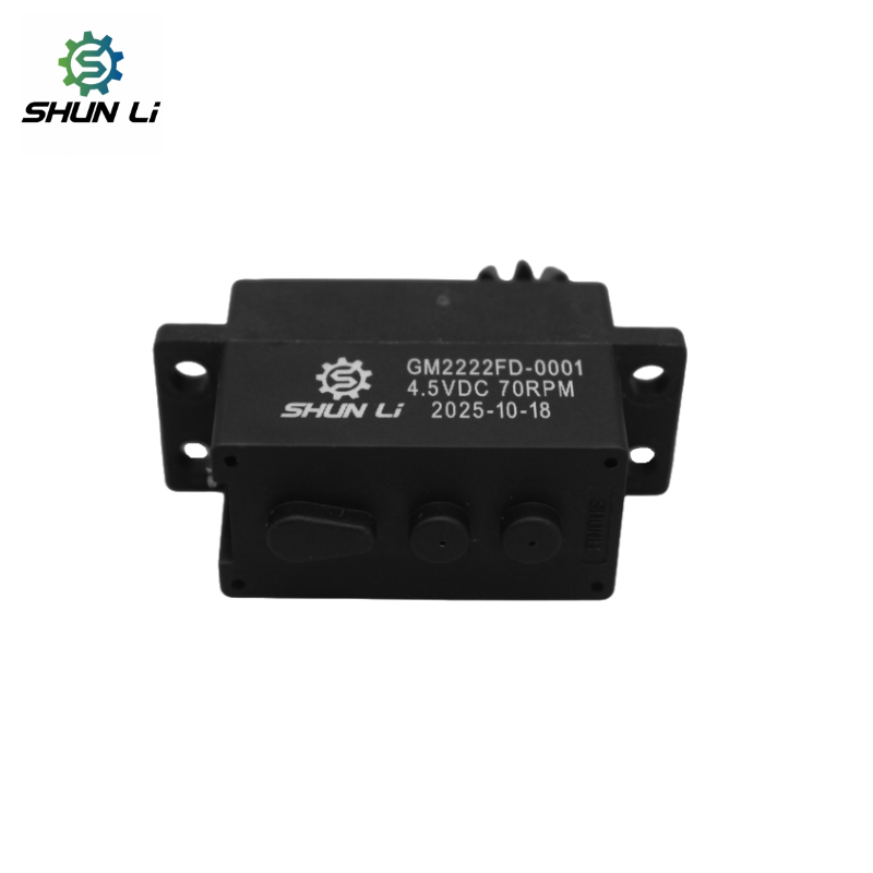 Shunli Custom Mini Battery Powered 3v 4.5v 70 Rpm Micro Geared Dc Electrical Gear Motors for Smart Lock Motor