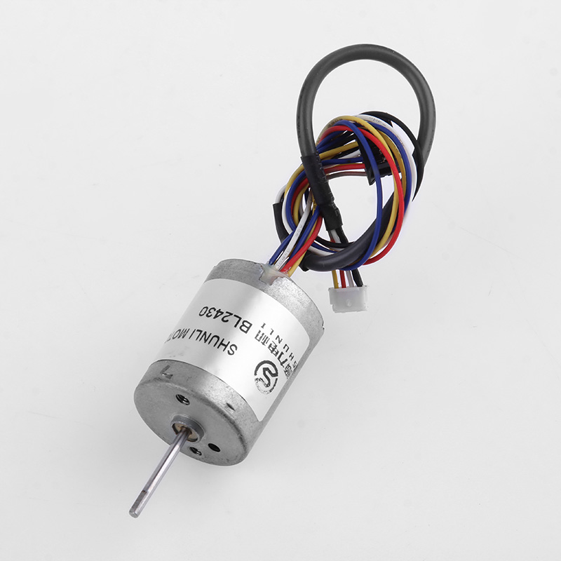 BL Dc Electric Shaver Brushless Planetary Gear Motor Bl2430 Micro Motor CAR Permanent Magnet FAN Boat