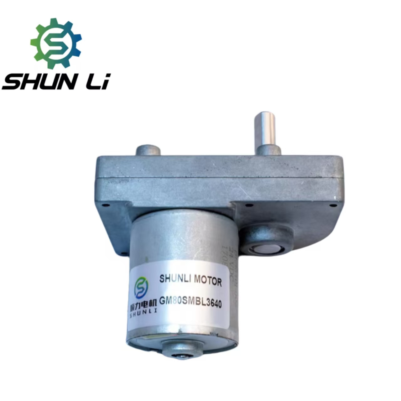 1 Rpm Worm Gear Dc Motor Reductor Dc 12v From Shenzhen Supplier
